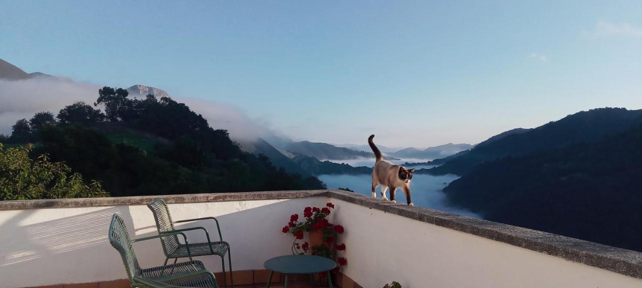 Vis 101 Bed & Breakfast Vista  Dış mekan fotoğraf