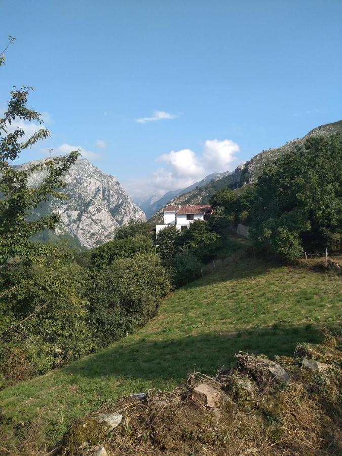 Vis 101 Bed & Breakfast Vista  Dış mekan fotoğraf