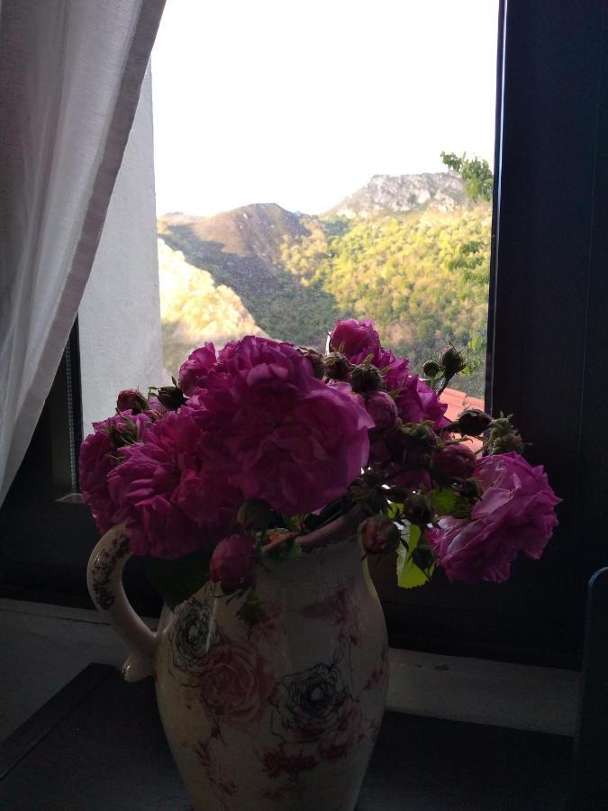 Vis 101 Bed & Breakfast Vista  Dış mekan fotoğraf